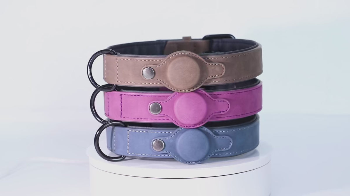 Collier pour Chien en Cuir PU - Anti-Perte avec Porte-Médaille, Réglable