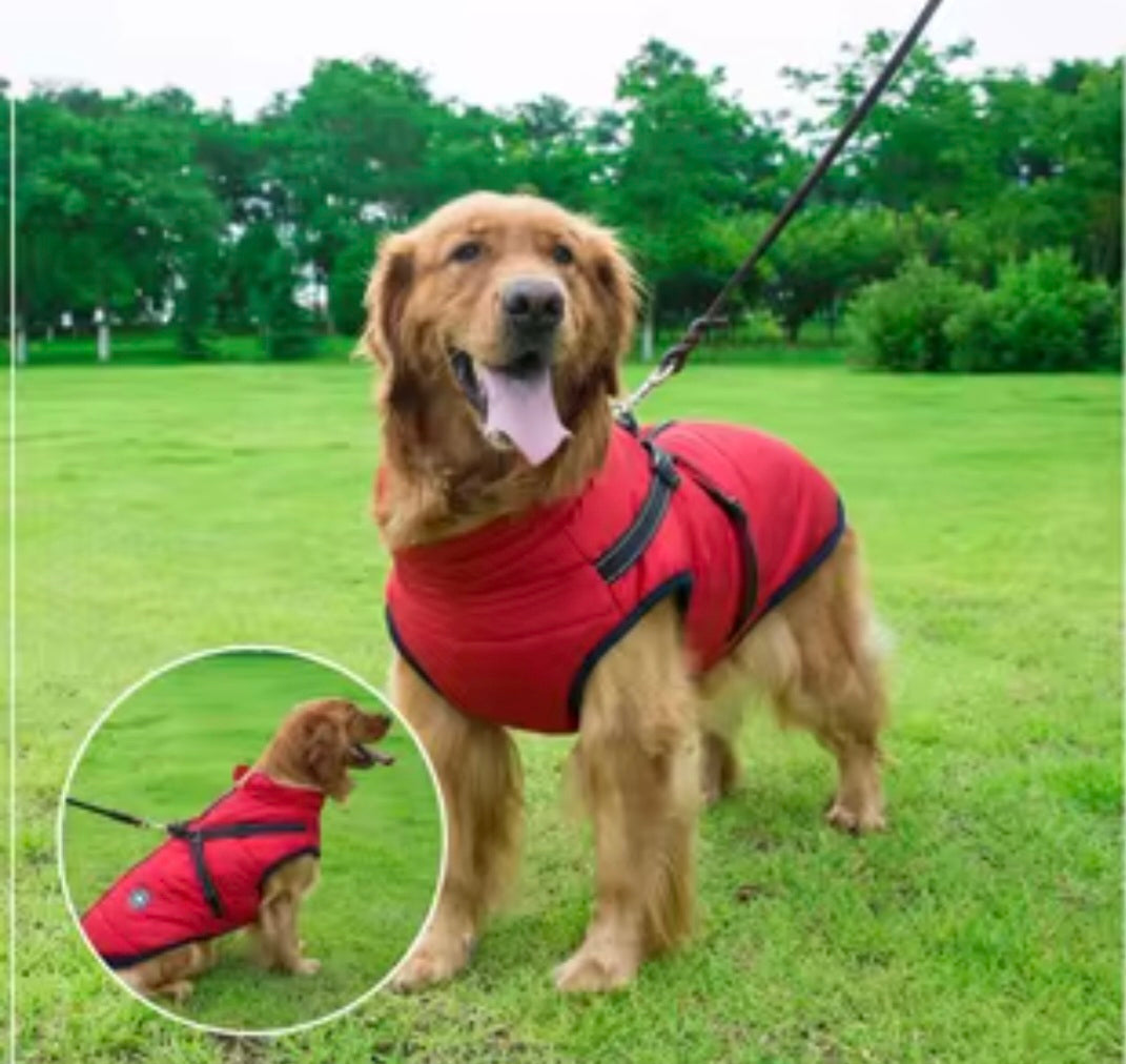 Manteau Chien Imperméable Doublé Polaire avec Harnais Intégré - Bandes Réfléchissantes