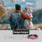 Collier pour Chien en Cuir PU - Anti-Perte avec Porte-Médaille, Réglable