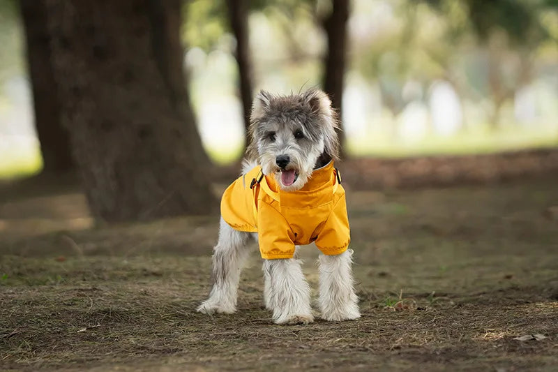Manteau Chien Imperméable Léger avec Harnais Intégré - Bandes Réfléchissantes