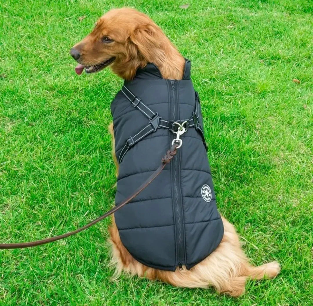 Manteau Chien Imperméable Doublé Polaire avec Harnais Intégré - Bandes Réfléchissantes